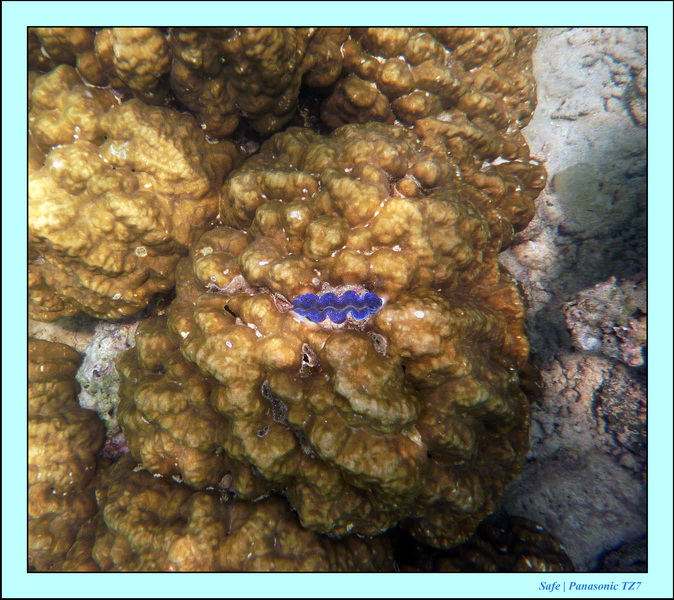 2011 - 03 - Koh Ngai 131